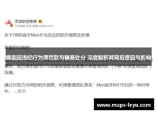 魏震因违纪行为遭罚款与禁赛处分 深度解析其背后原因与影响