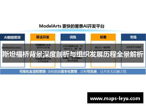 斯坦福桥背景深度剖析与组织发展历程全景解析