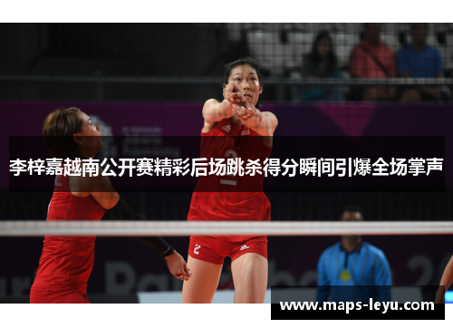 李梓嘉越南公开赛精彩后场跳杀得分瞬间引爆全场掌声