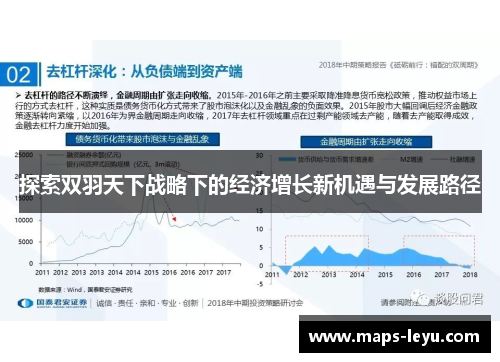 探索双羽天下战略下的经济增长新机遇与发展路径